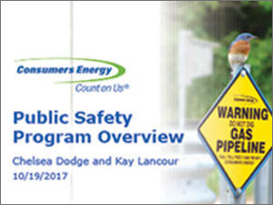 Consumers Energy Safety Program Overview