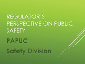 Regulators Perspective on Public Safety