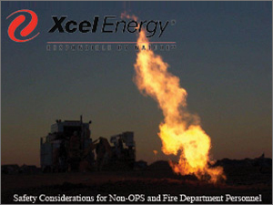 Xcel Energy Safety Consideration